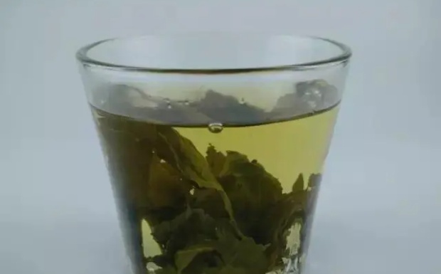 日照红梅茶的口感有哪些特点.jpg 日照红梅茶的口感有哪些特点.jpg