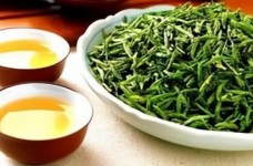 松溪小白茶属于什么茶