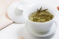 冻顶乌龙茶属于什么茶种