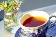 蒙顶黄芽什么时候上市