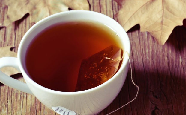 蛹虫草茯茶功效.jpg 蛹虫草茯茶功效.jpg