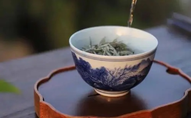 白鸡冠是什么茶.jpg 白鸡冠是什么茶.jpg