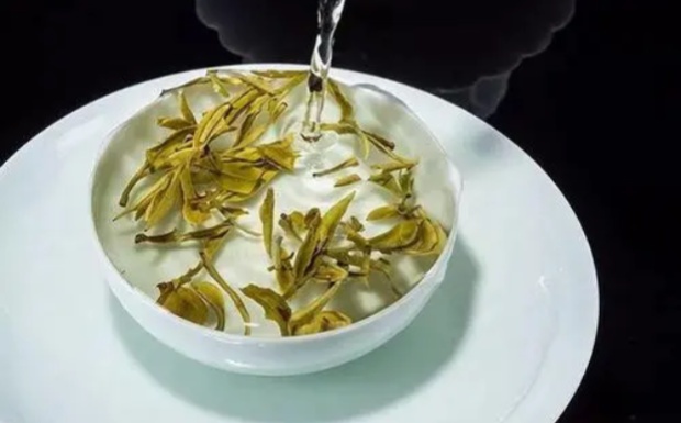 杭白菊产地.jpg 杭白菊产地.jpg