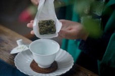 江西名茶之狗牯脑