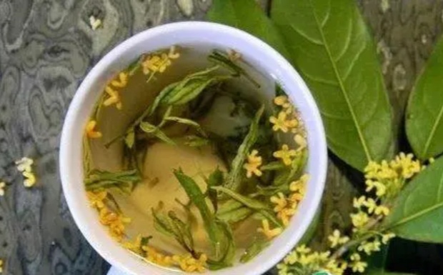 珠兰花茶用白珠兰好吗.jpg 珠兰花茶用白珠兰好吗.jpg