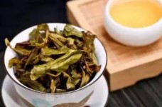 闽北水仙茶属于什么