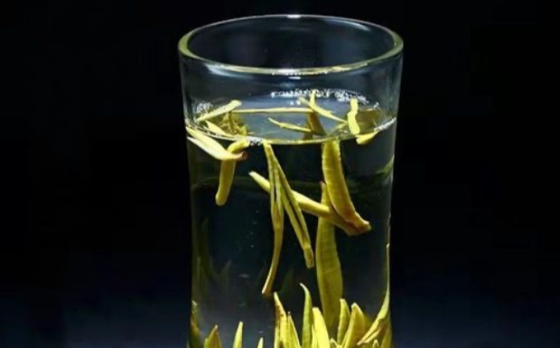 踏雪兰妃属于什么茶类.jpg 踏雪兰妃属于什么茶类.jpg