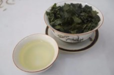 安溪铁观音好吗