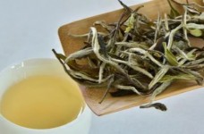 远安黄茶是什么茶