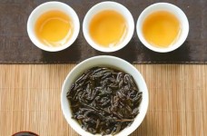 岭头单丛茶属于哪里