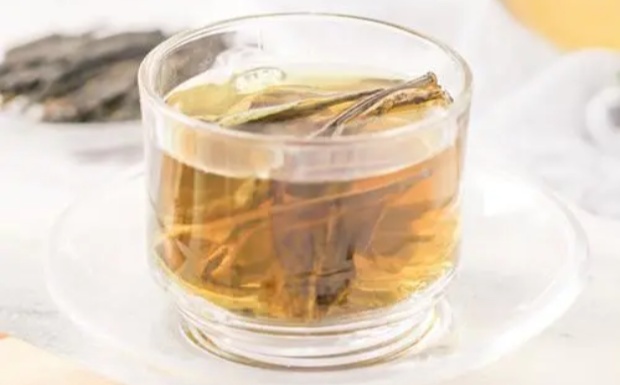 苦丁茶是茶吗.jpg