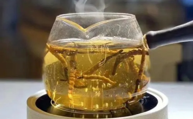 蛹虫草茯茶可以煮吗.jpg 蛹虫草茯茶可以煮吗.jpg