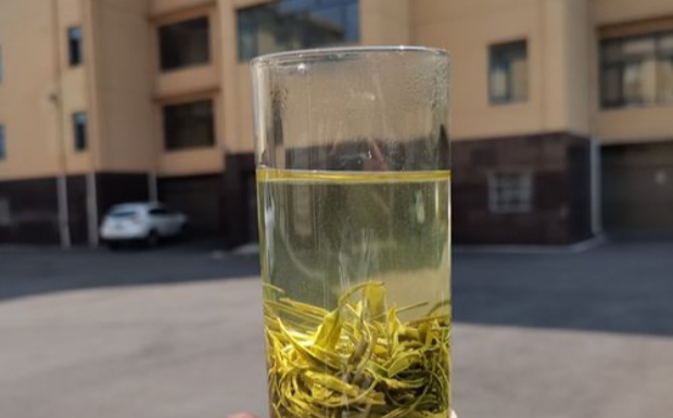 远安黄茶的品质和性价比怎么样.jpg 远安黄茶的品质和性价比怎么样.jpg