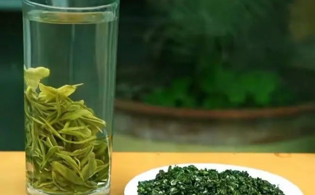 松萝茶是什么茶.jpg 松萝茶是什么茶.jpg