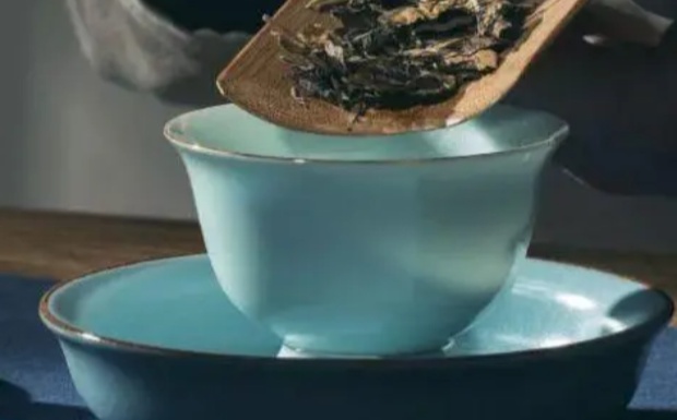 寿眉白茶的冲泡方法.jpg 寿眉白茶的冲泡方法.jpg