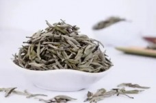 怎么看白毫银针的品级