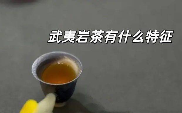 武夷岩茶有什么特征.jpg 武夷岩茶有什么特征.jpg