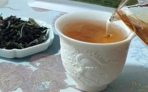 什么是信阳白茶.jpg 什么是信阳白茶.jpg