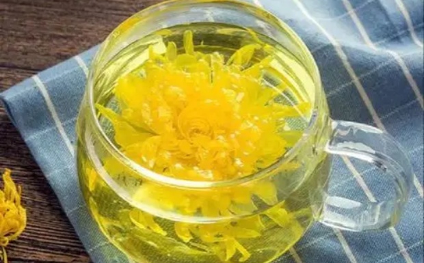 金丝皇菊茶的副作用.jpg 金丝皇菊茶的副作用.jpg