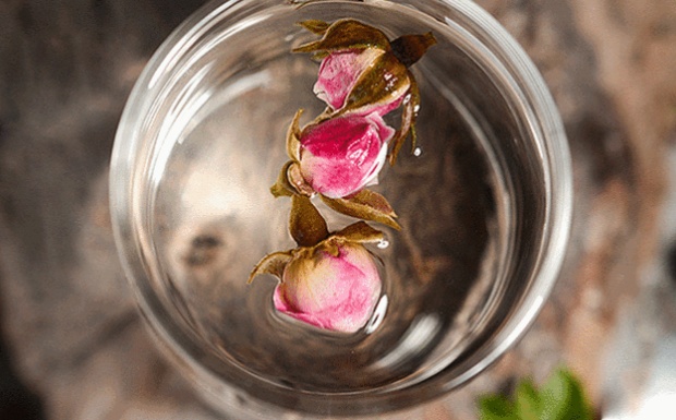 金边玫瑰花茶的功效.jpg 金边玫瑰花茶的功效.jpg