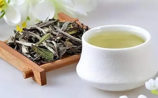 宁波白茶属于什么品种.jpg