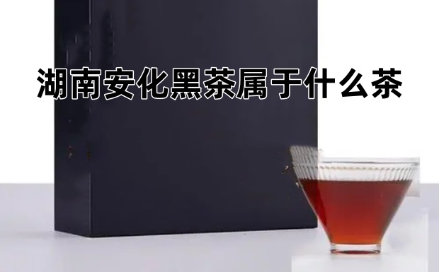 湖南安化黑茶属于什么茶.jpg 湖南安化黑茶属于什么茶.jpg