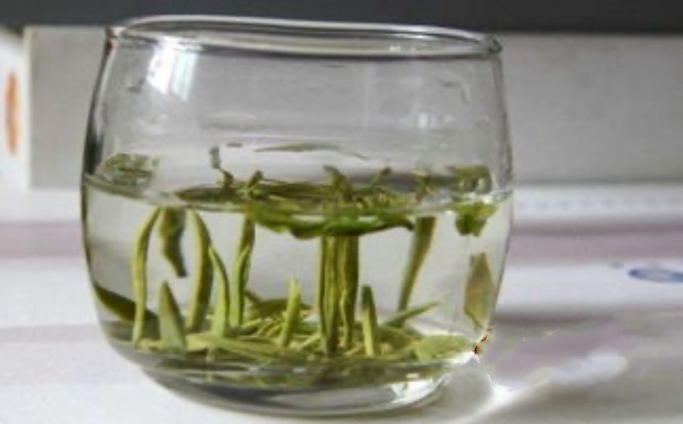 太湖翠竹是什么茶种.jpg 太湖翠竹是什么茶种.jpg