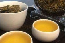 龙岩斜背茶多少钱一斤