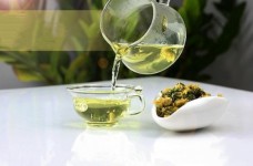 白菊和贡菊有什么区别