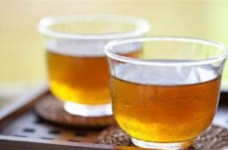 胎菊是凉性还是热性