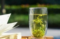 什么是仙人掌茶