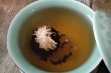 贡菊的典故