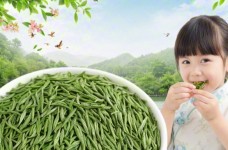 什么是平水珠茶