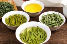 蒙顶茶的品种及简介