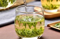 麻姑茶怎么泡味道才好
