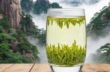 什么是庐山云雾茶
