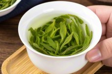 六安瓜片什么茶