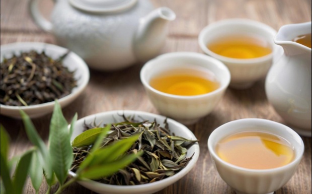 包种茶怎么种植成活率高.jpg 包种茶怎么种植成活率高.jpg