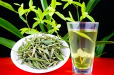 踏雪兰妃茶简介