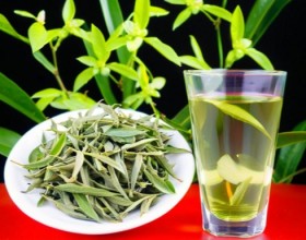 踏雪兰妃茶简介