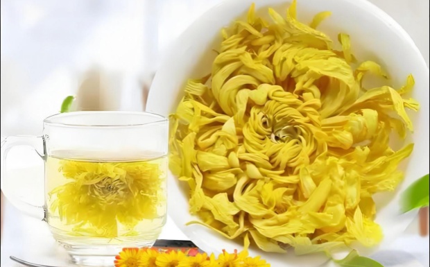 哪些人不能喝金丝皇菊.jpg 哪些人不能喝金丝皇菊.jpg