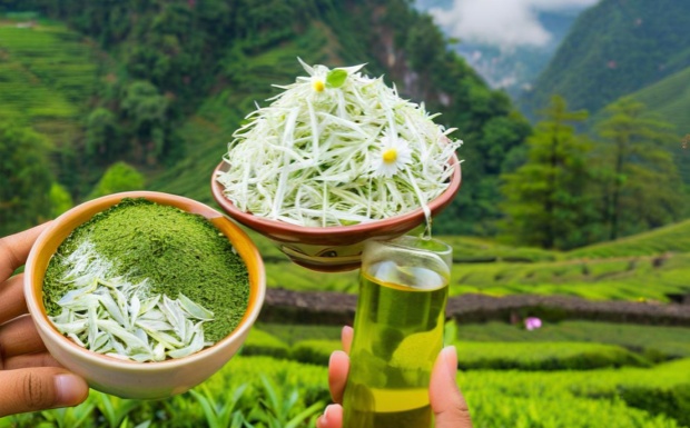 莓茶有哪些功效.jpg 莓茶有哪些功效.jpg