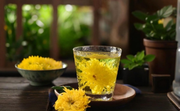菊花茶效果怎么样.jpg 菊花茶效果怎么样.jpg