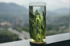什么是隆中茶