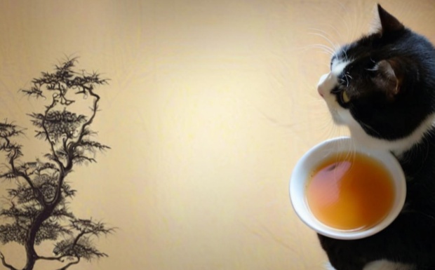 什么是文君绿茶.jpg 什么是文君绿茶.jpg
