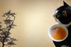 什么是文君绿茶