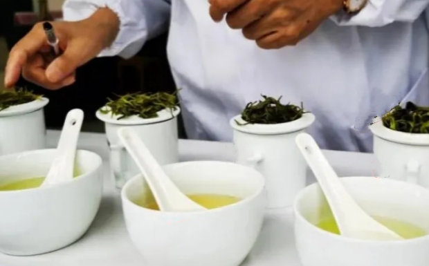 黑茶审评方法.png 黑茶审评方法.png