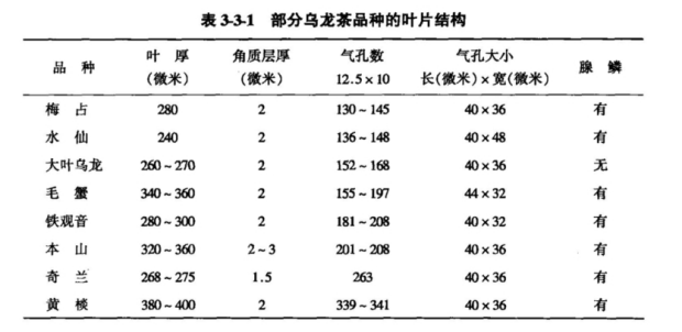 表 3-3-1 部分乌龙茶品种的叶片结构.png 表 3-3-1 部分乌龙茶品种的叶片结构.png