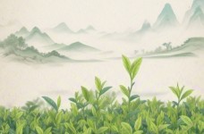 台茶3号