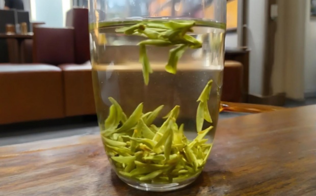 什么是乌牛早茶.jpg 什么是乌牛早茶.jpg